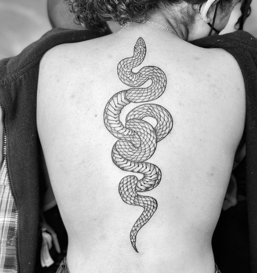 Snake Spine 