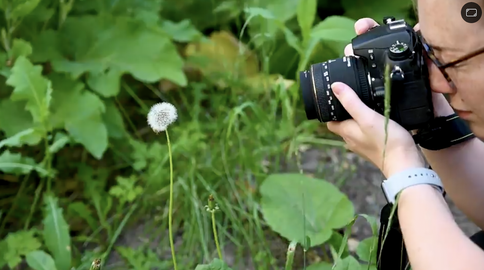 Photographer and Skillshare instructor Tabitha Park uses a macro lens to capture the detail of wildflowers. 