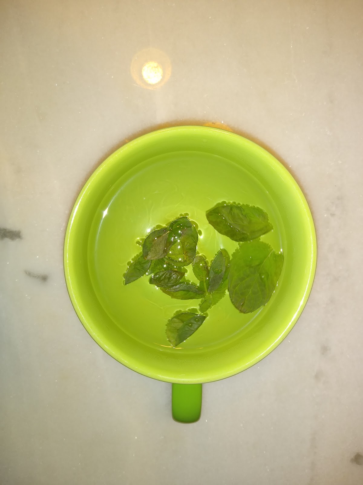 fresh mint tea image