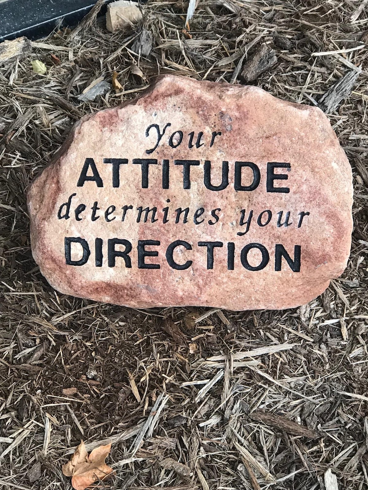 Your attitude determines your direction