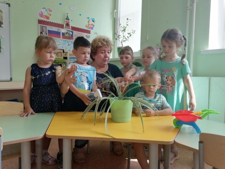 C:\Users\Home\Desktop\Новая папка\IMG_8701.JPG