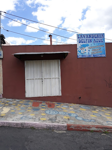 Lavandería Delfin azul