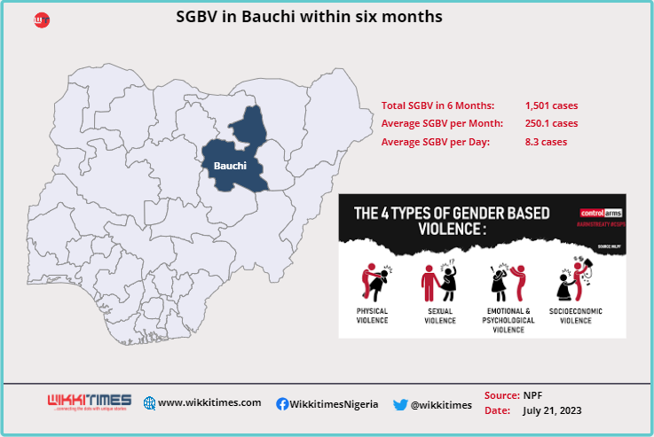 WikkiData: In 6 months, Bauchi Recorded 1,501 Domestic Violence Cases --- Higher Than 352 Documented in 3 Years 1
