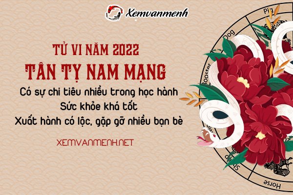 tu-vi-tuoi-tan-ty-nam2022-nam-mang-2004