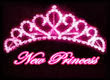 Discoteca New Princess discoteca new princess sala bolshoi