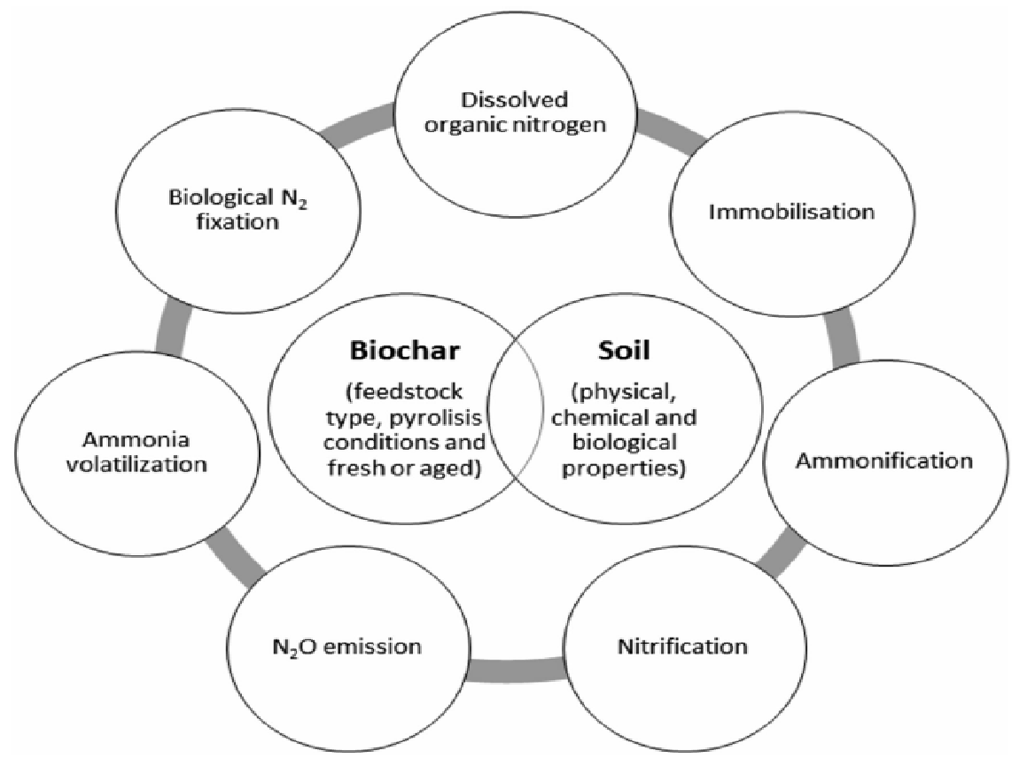 Activated Charcoal 5: Overall Benefits in Agricultural Soils, and Crops