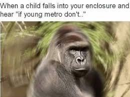 Image result for harambe meme