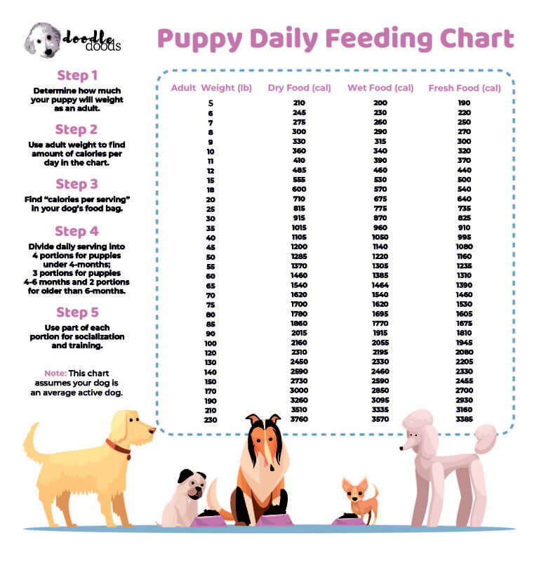 8 Best Dog Food For Cockapoos Reviews & by Vets