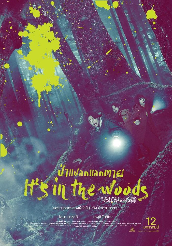 5.IT’S IN THE WOODS 