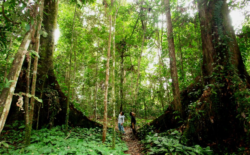 Nam Cat Tien National Park