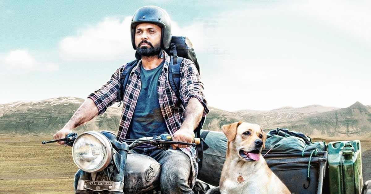 777 Charlie Movie Review: Rakshit Shetty Dares You To Hold Back Your Tears  With His & Charlie's Heartfelt Chemistry