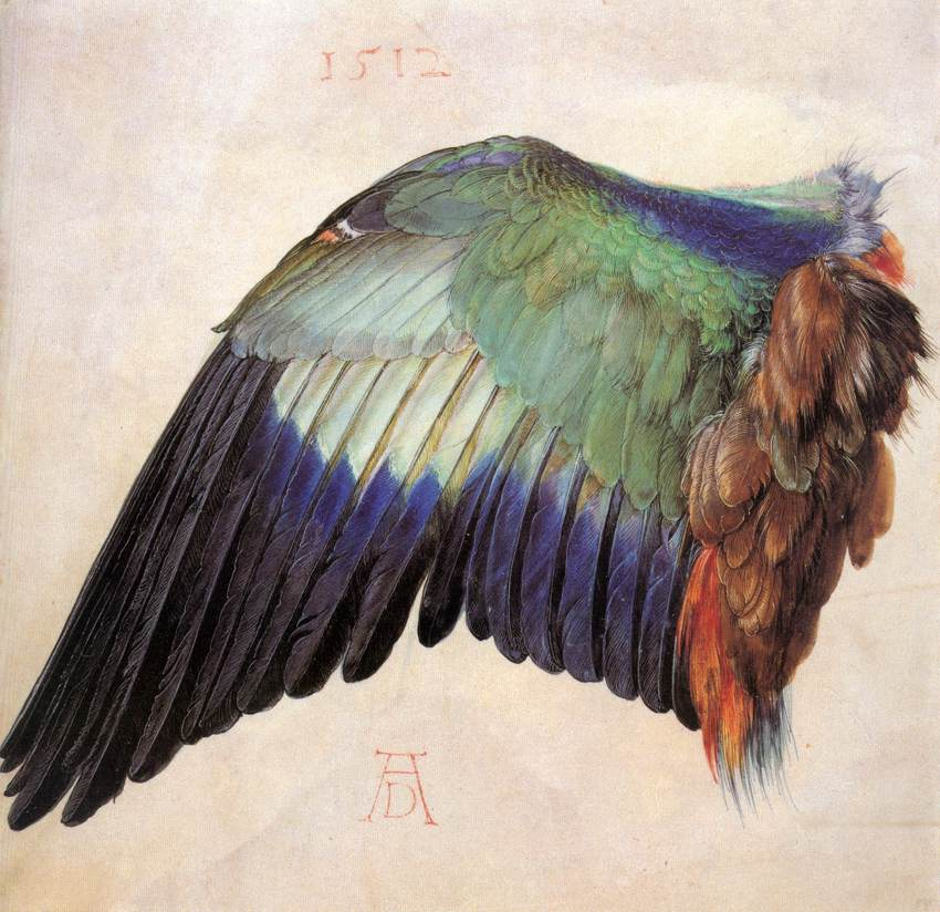 painting of bird wing
