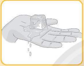 A hand with a melting ice cube

Description automatically generated