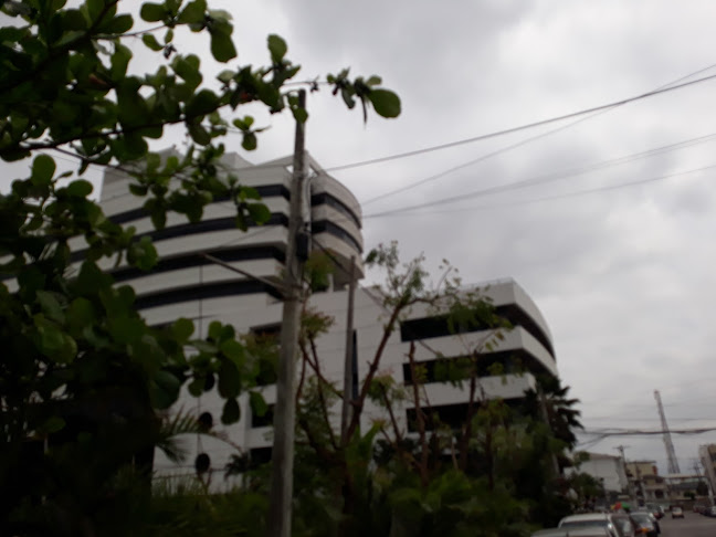 Corporación Nacional de Electricidad CNEL EP - Guayaquil