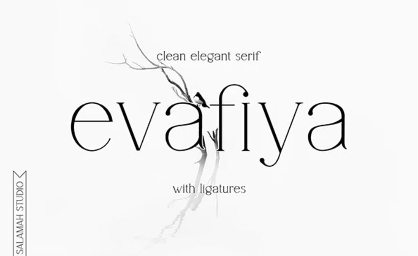 Evafiya Clean Serif Font