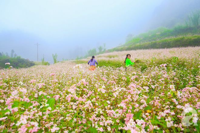 Hà Giang