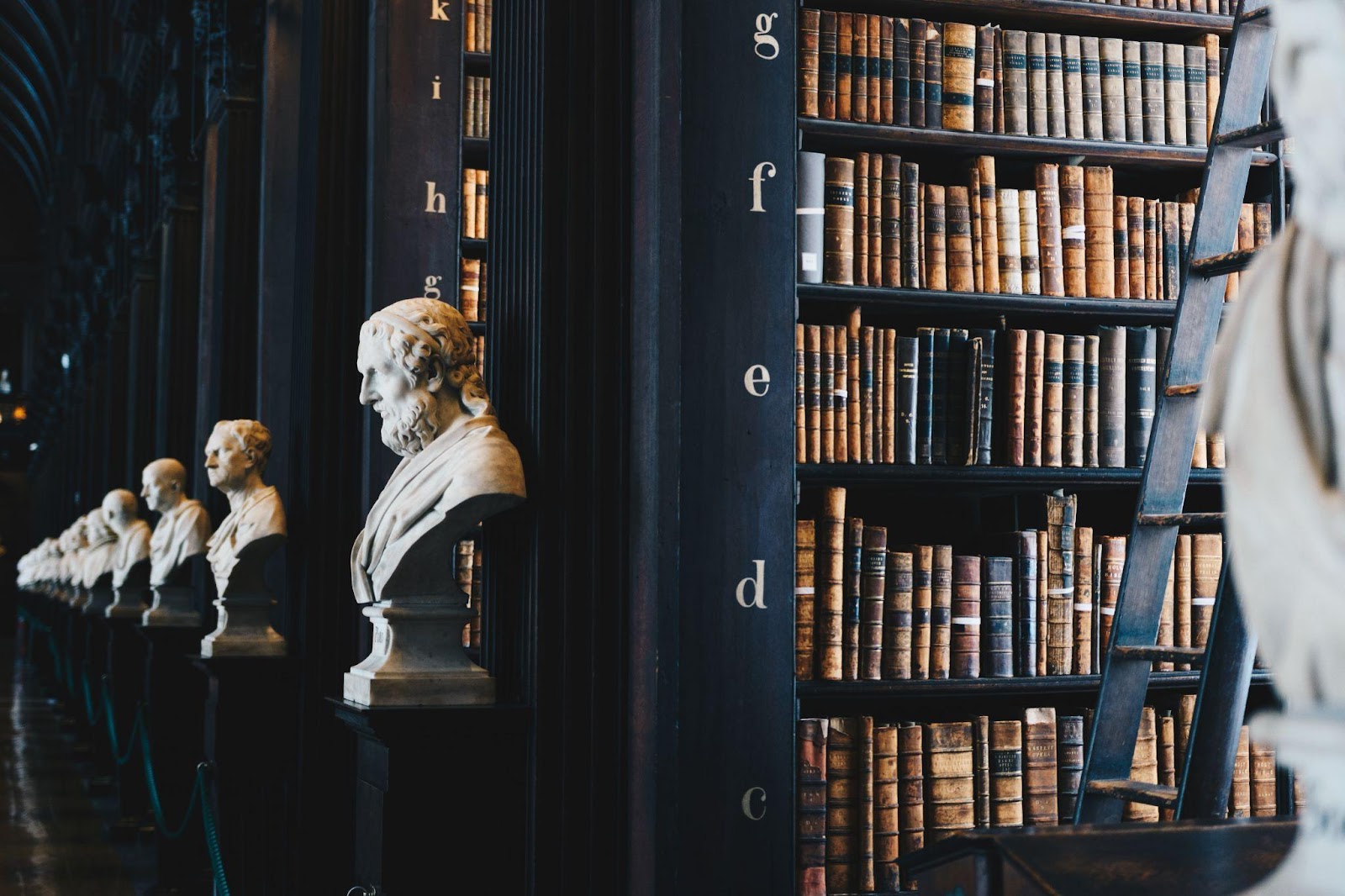 A shelf of books in a library.