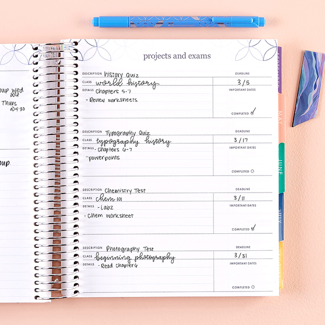 Erin Condren Planner Review