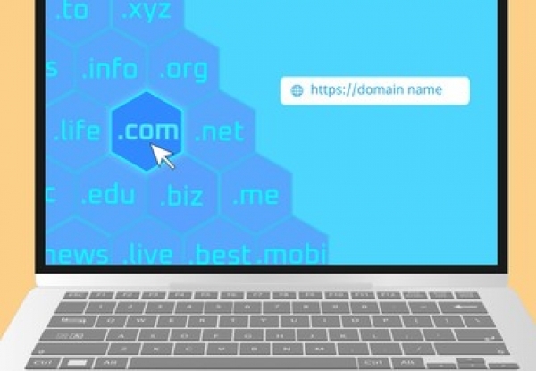 apa itu ekstensi domain adalah