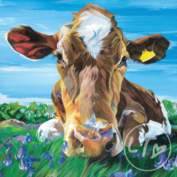 A colourful portrait of a Charolais Cow in a lush field