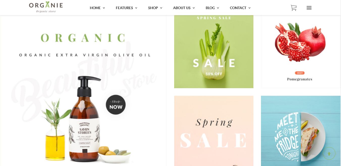 Fruits and vegetables magento theme organie