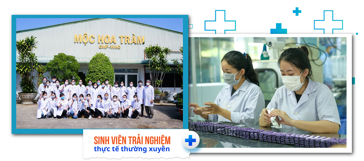 Học ngành Dược - Không chỉ đơn thuần kê đơn, lấy thuốc - Ảnh 7