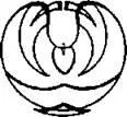 D:\0 wd yedek\acr yedek\1 film indirme\forbidden_magic_ancients_9_dosyalar\image008.jpg