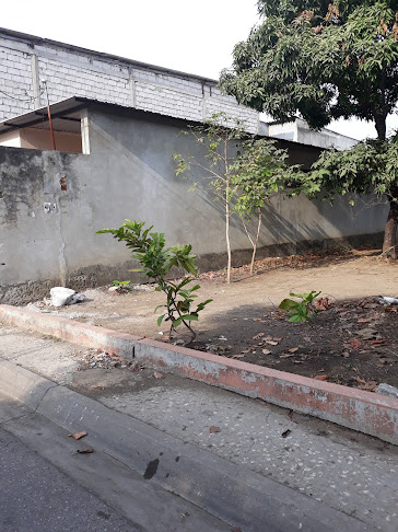 petrillo Barrio Lindo - Guayaquil