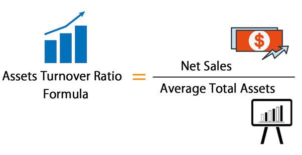 Asset management ratios