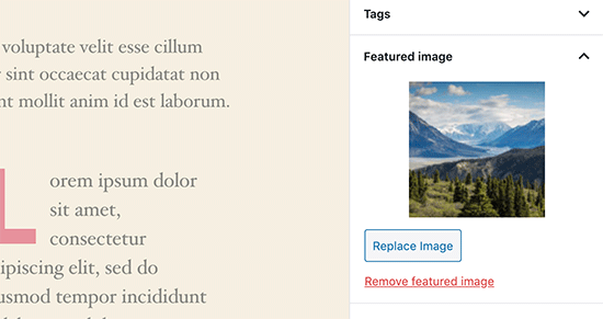 Visualização da imagem em destaque no editor de postagem