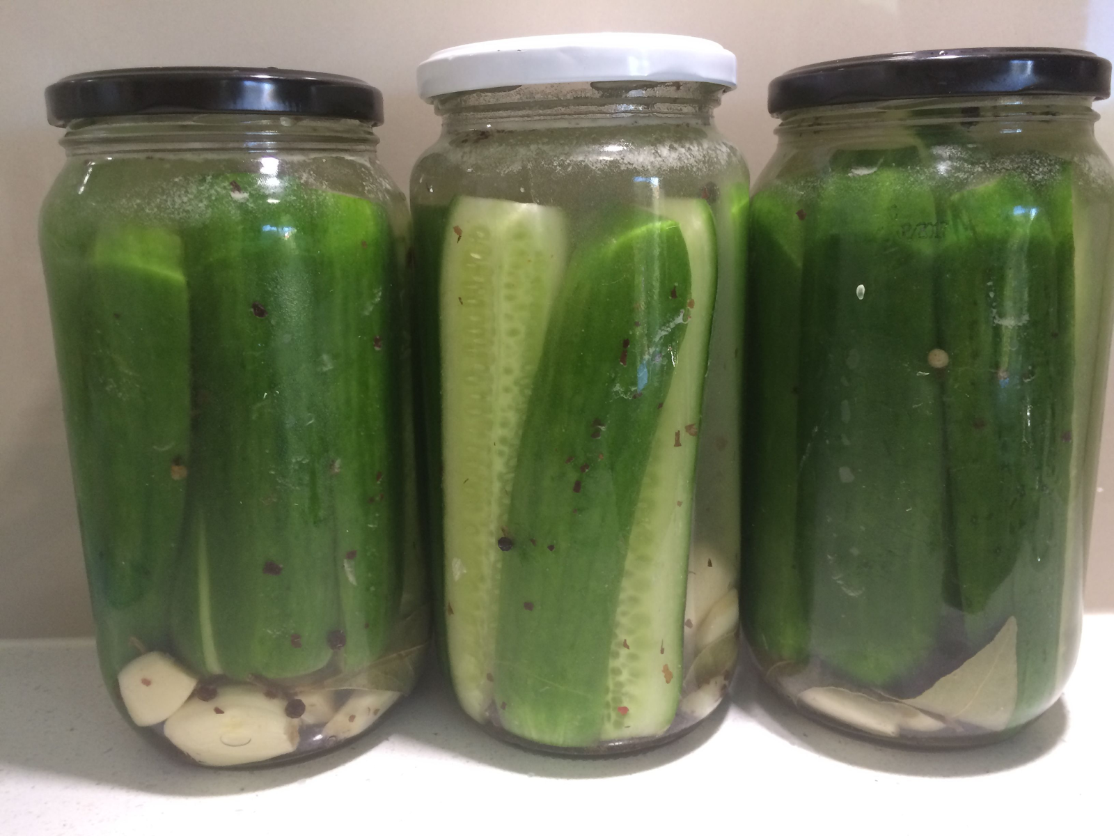 pickling cucumbers 