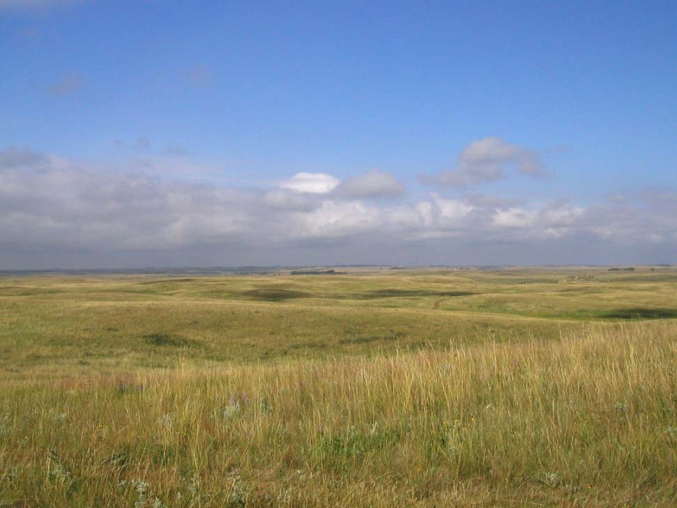 COLifeZones_Shortgrass_Prairie1.jpg