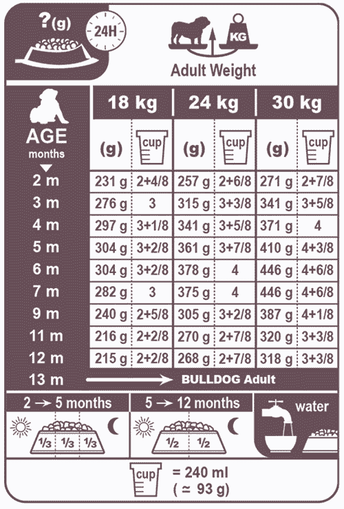 english bulldog feeding chart
