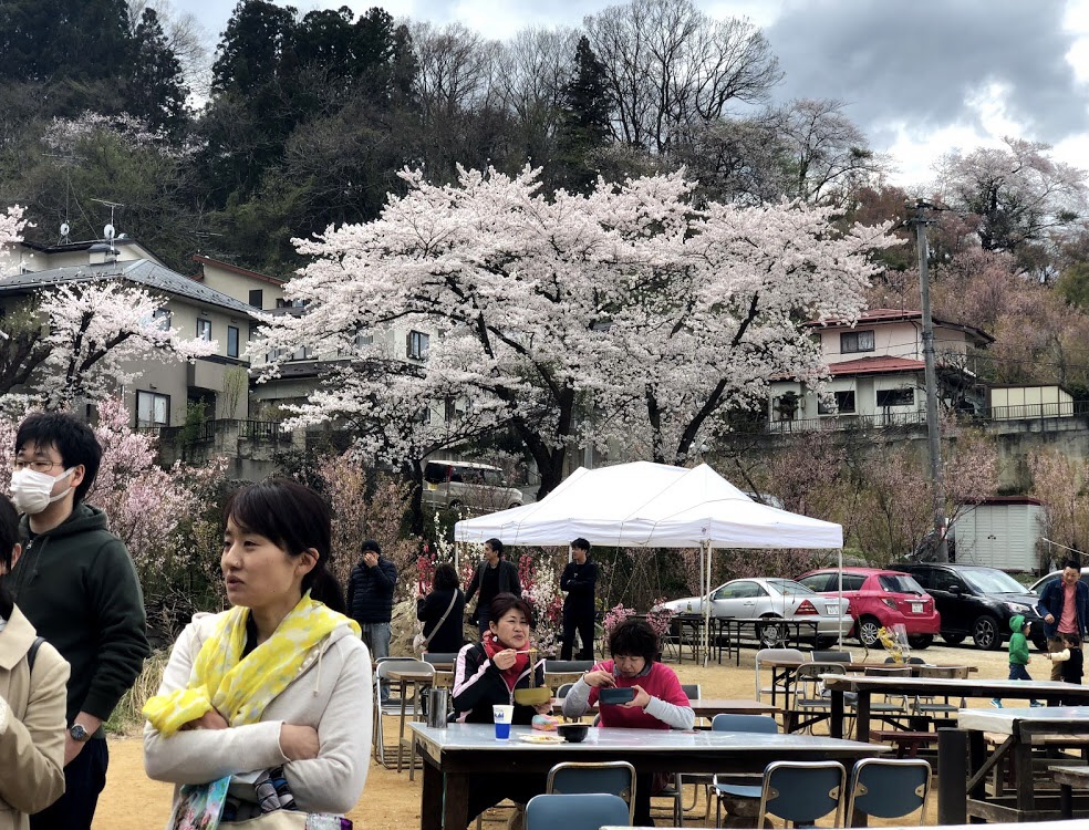 แดนสวรรค์ของคนรักดอกไม้ Hanamiyama Park ,Fukushima 06
