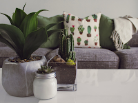 Home Decor Greenery