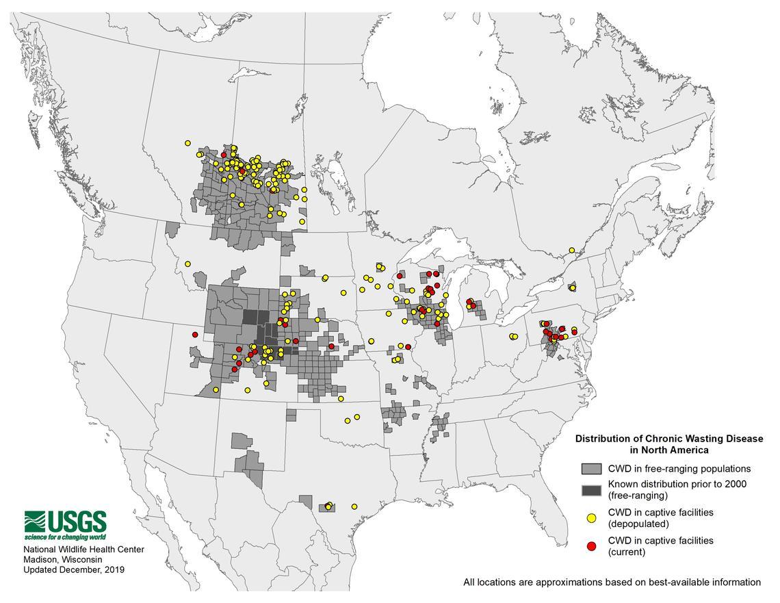 Imagine 1: As of December 2019, chronic wasting disease has been detected in 26 US states and 3 Canadian provinces. For a continually-updated map of CWD detections across North America, visit: www.usgs.gov/centers/nwhc/science/expanding-distribution-chronic-wasting-disease>. (Credit: Bryan Richards, USGS National Wildlife Health Center)