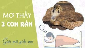 Bạn có giấc mơ thấy 3 con rắn ư?