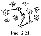 02-21