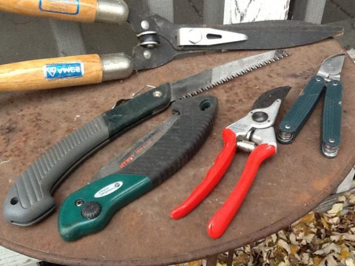 Набор инструментов для обрезки вишни