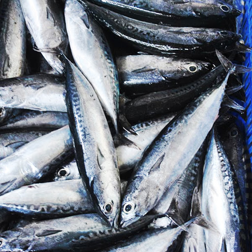 Cá ngừ loại thực phẩm quen thuộc giúp tăng cường trí nhớ