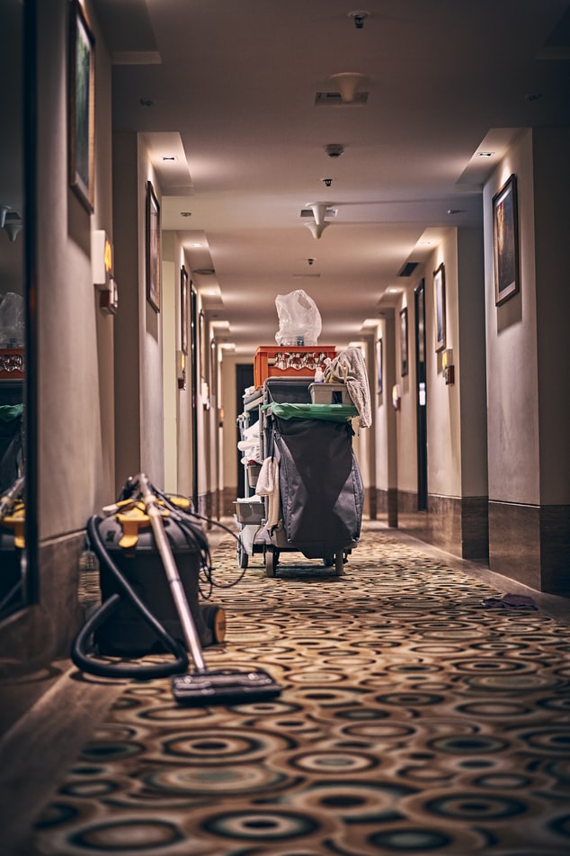 What You Need to Know Before You Hire a Carpet Cleaner