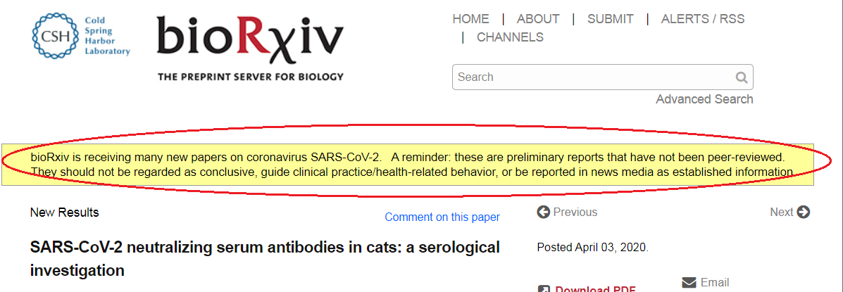 Правда ли, что у котов в Ухане обнаружили коронавирус?