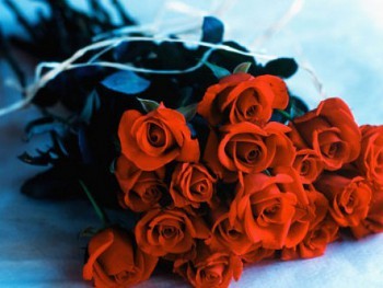 10 quà tặng ý nghĩa ngày Valentine dành cho Bạn gái của Bạn - 9