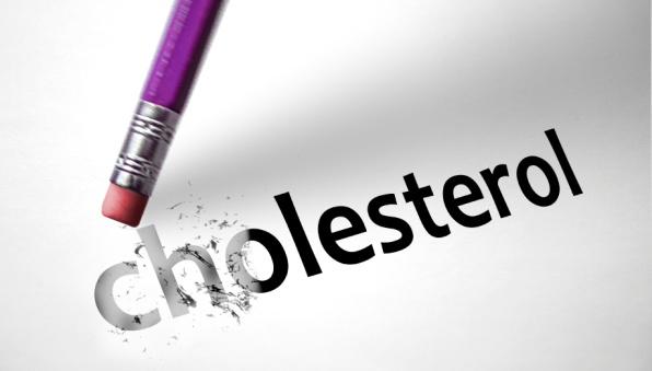 Resultado de imagen de lowering cholesterol