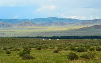 Pradera, Definición y Características - BioEnciclopedia