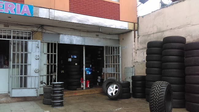 AB WHEELS AROS BRYAN - Tienda de neumáticos