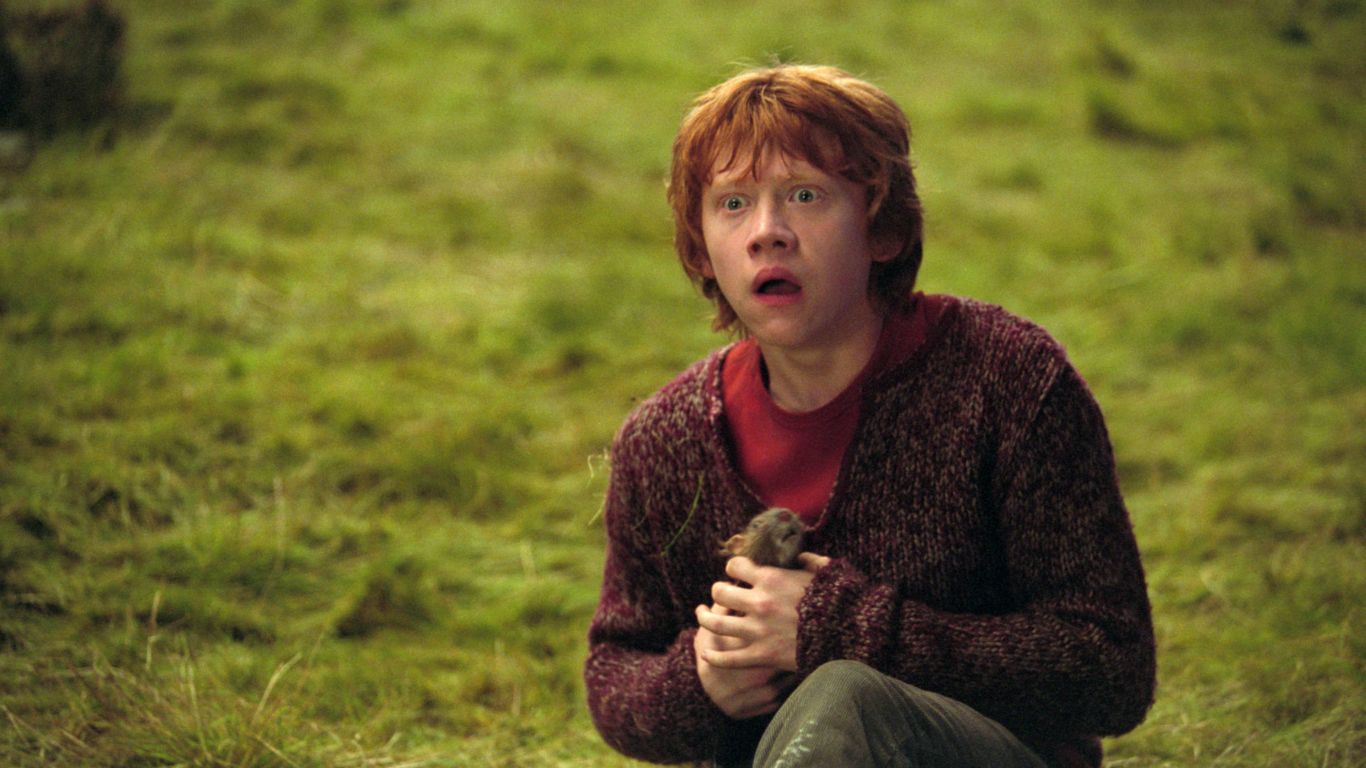 10 Harry Potter Quotes That Capture The Core Of Each Character - Ron Weasley: "Happiness can be found, even in the darkest of times."
