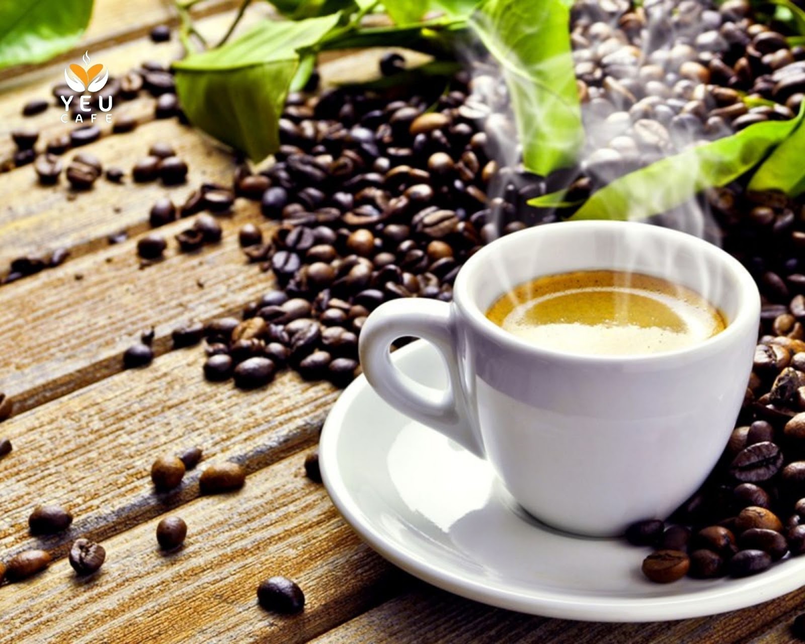 Cà phê hạt dẻ giá rẻ sạch 100% - 2