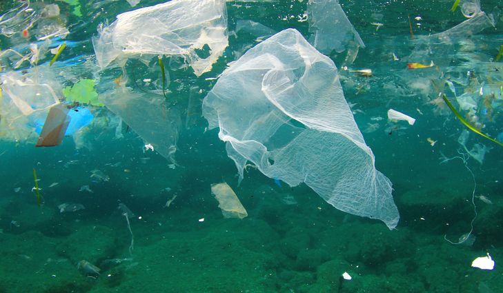 Image result for what Marine pollution is about