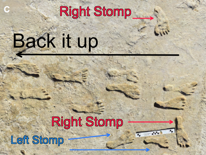 Figure 5: Various Prehistoric Dancer moves of the Cha-Cha Slide